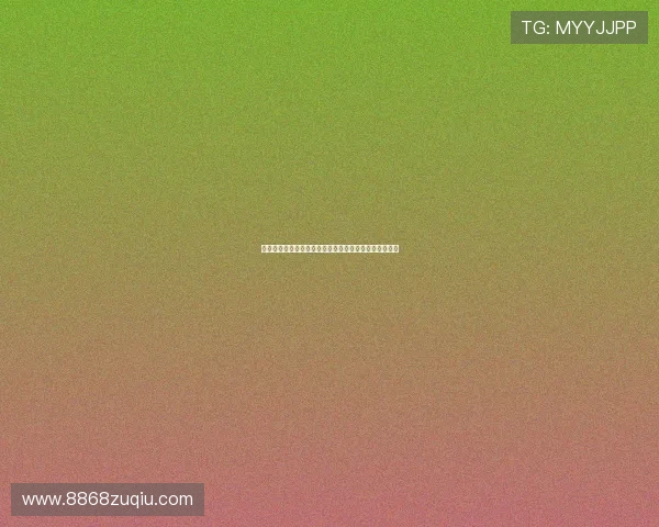 熊猫体育直播助你零距离感受体育比赛的激情与精彩瞬间